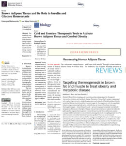 Collage of brown fat research articles
